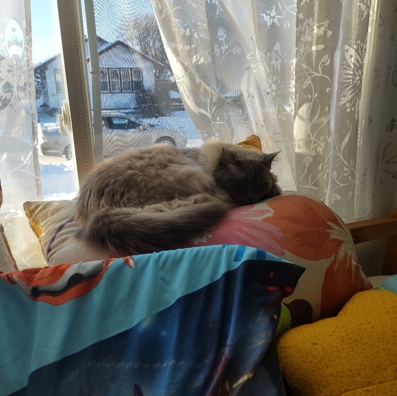 Meet your Posher, Jenna - Picture 2 of 5